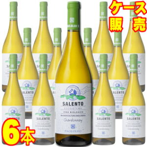 GRVXe} Vhl rIWR 750ml 6{Zbg@P[X̔yKiE񂹕izJeB[l pII C^AC/v[A/C/h/ 750ml × 6 y܂ƂߔzyƖp