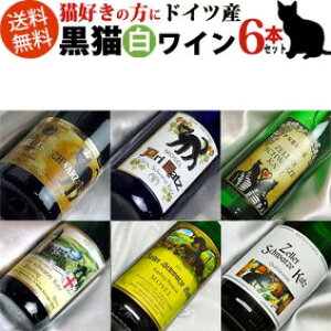 @hCcCLD̃̕v[gɁIł킢fUC LC@Jbc@낢t{gÌ6{Zbg yMtg C zyhCcCZ