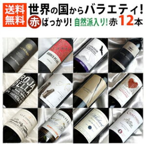 ԃC΂12{Zbg@tXAC^AAXyCɃj[[hyԃCZbg 12{z