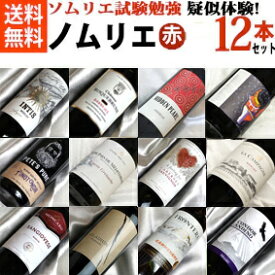 ■□送料無料□■ソムリエ試験の勉強を疑似体験！　 ノムリエさんのための　一歩深い 赤ワイン 代表品種　飲み比べ12本セットVer.7 【飲み比べS】【赤ワインセット】【ワインセット 12本】【テイスティング】【楽天 通販 販売】【オンライン飲み会】