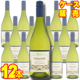 【送料無料】 テラノブレ　シャルドネ　レセルバ 　12本セット・ケース販売 Terra Noble Chardonnay Reserva チリ/チリワイン/白ワイン/辛口/750ml×12【ケース売り】