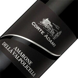 yKizA}[l fb @|`Fb 2019 AMARONE DELLA VALPOLICELLA DOCG [2019N] C^AC/Flg/Re A_~/ԃC/t{fB ӂ悩/d/ 750ml /Rh/TXeCiu