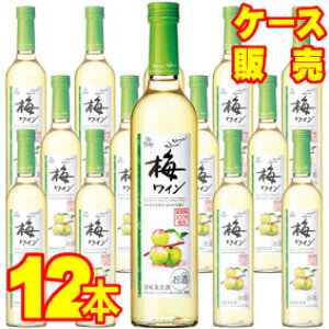 yTgl[W Cz ~C@500ml×12{ZbgEP[X̔ {C/Öʎ/Ì/500ml×12{yzy1cszy܂ƂߔzyP[XzyzyƖpzyY