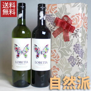 `E`  x ۓI xeBA evj[ & Vhl@ԔC g@2{g Mtg ZbgC Mtg yRhC rIC I[KjbNzv[