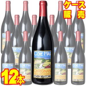 R[eE}X@Jj@BGCEB[j@12{ZbgEP[X̔ yh[kE|[E}Xz tXC/ԃC/~fBA{fB/750ml×12yP[XzyƖpzy