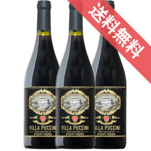 yzBEvb`[j@smEl@3{Zbg Villa Puccini Pinot NeroC^AC/ԃC/~fBA{fB/750ml yyV ʔ ̔zy܂Ƃߔ ƖpɂIz