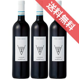 Q@lbrI[ 750ml 3{Zbg@Langhe Nebbiolo ebEGE{M/C^AC/sGe/ԃC/~fBA{fB//750ml×3@yyV ʔ ̔zy܂Ƃߔ Ɩpɂz