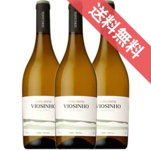 yKiE񂹕izBIW[j 750ml 3{Zbg AfK}C/|gKC/X{/C/h t[eB[/ 750ml × 3 /t@CY/Tg[y܂Ƃߔ Ɩp ɂI 