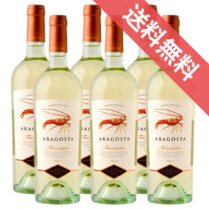 yKiE񂹕izASX^ tbc@e 750ml 6{Zbg T^ }A  p}/C^AC/C/A/h/ 750ml × 6yt[hCi[zy1204zy܂Ƃߔ@Ɩp 