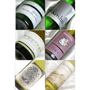 \G̕׋^̌I@v3iȊOŎɏo C@~XJfAbBAASeAQcg~l[AViEuAgeX@ݔ6