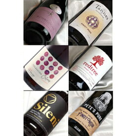 ピノピノ大作戦　自然派ピノノワール飲み比べ6本セットVer.18 ビオロジック・有機栽培ワインも入っています！【赤ワインセット】【自然派ワイン ビオワイン bio ピノ・ノワール】