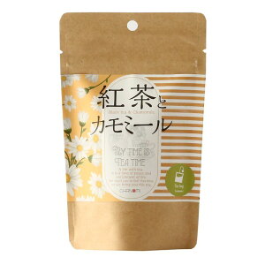 N[|zzI11/1聚 ŷݒԁzgƃJ~[ 20g(2g×10) /   Ch eB[obO e N uh uheB[ Ϗo o u[}Ee