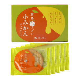 N[|zzI11/1聚 ydقƂzv~ATu ݂`R[g 5 Ԃ َq ĉَq  yY