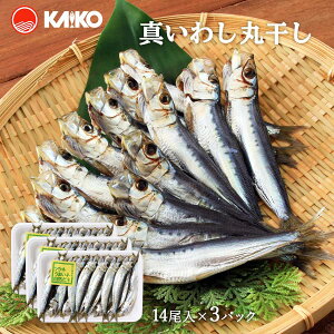 Gg[P1011/4-11 yCKz^킵ۊ 2×3pbN Y vY Y ^ ۊ