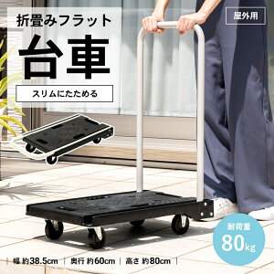 R[iIWi LIFELEX ܂肽݃tbg OFD-2994^RpNg [ Ԏ[ ^  CtbNX R[i