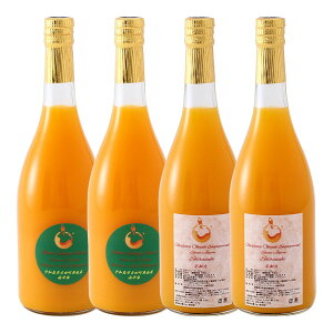 Gg[P1011/4-11 yGqGQ[Wt@[zxk24{Zbg ÊCsm 720ml×4{()/Mtg 蕨 W[X Zbgi B݂ ݂W[X Q F