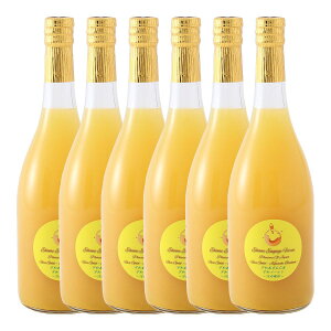 yGqGQ[Wt@[zFaS[hW[X(͓ӊ) 720ml 6{Zbg()/Mtg 蕨 W[X B݂ ݂W[X Q Fa Y FaS[h aO[vt