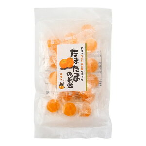 ★エントリーP10★10/24-27限定! 【冨士屋製菓】たまたまのど飴 90g / のど飴 飴 キャンディー 金柑 たまたま金柑 はちみつ入り 蜂蜜入り のど飴 鹿児島県 タマタマ金柑 袋入り のどすっきり 完
