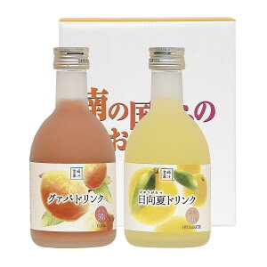 y{ʏ`z{ʏ` n[t{g2{Zbg(GH) O@oA 300ml×e1{ / Mtg 蕨 W[X {茧 O@oW[X O@o t[cW[X ʕ t[c 썑{ gsJ