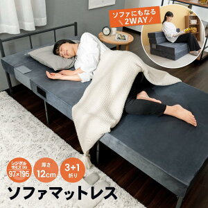 Gg[P1011/20 20:00-11/27 1:59 R[iIWi LIFELEX \t@}bgXS 97×195×H12cmDGY^ K  ł O܂ CtbNX R[i