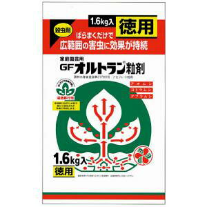 N[|zzI11/1聚 ZFw| g 1.6kg / E Q΍ Zڍs