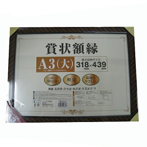 R[iIWi LIFELEX ܏z bN A3 KO14-7613^\  Ƌ Ə؏ z CtbNX R[i