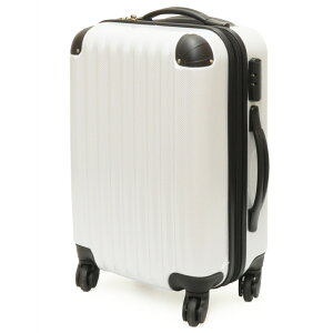 R[iIWi LIFELEX X[cP[X 18C` KO14-18CW^s @݉\ eʖ25L ډ׏d15kg CtbNX R[i
