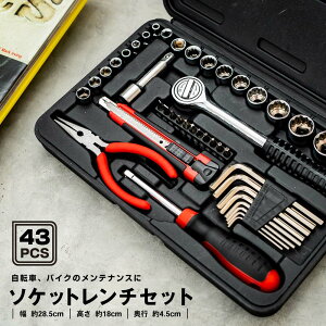 �R�[�i���I���W�i�� LIFELEX �\�P�b�g�����`�Z�b�g 43P LFX20-270�^���]�� �o�C�N �����e�i���X �R���p�N�g �����^�� ���C�t���b�N�X �R�[�i��