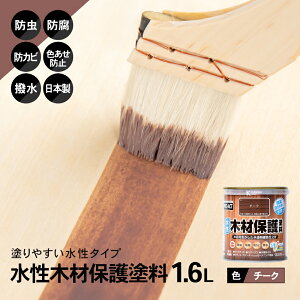 R[iIWi PROACT ؍ޕیh 1.6L `[N^{ h h hJr  UVJbg vANg R[i