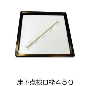 Gg[P1011/4-11 R[iIWi LIFELEX _g450 YTW450-0579 R[i