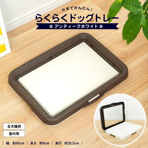 R[iIWi LIFELEX Ўł炭炭 hbOg[ AeB[NzCg/uE^ЎJ bNt SΉ gCg[jO CtbNX R[i