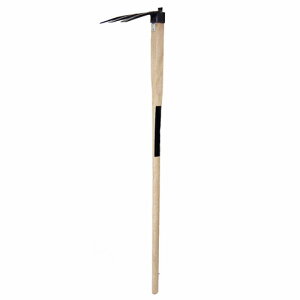 Gg[P1010/24-27! R[iIWi LIFELEX O{L LFX09-5039^ _ ƒ؉ | K[fjO CtbNX R[i