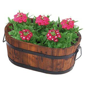 R[iIWi LIFELEX Đȉ~`v^ L^񂹐A   K[fjO CtbNX R[i