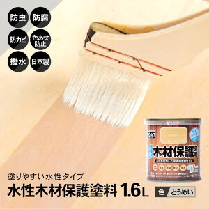 R[iIWi PROACT vANg ؍ޕیh 1.6L Ƃ߂ / { h h hJr  UVJbg R[i