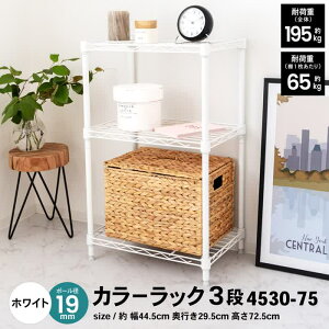 Gg[P10I12/4 20:00-12/11 1:59 R[iIWi LIFELEX CtbNX J[bN3izCg 19 4530-75 / 445×s295×725mm R[i