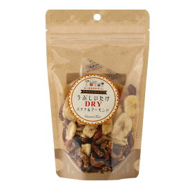 ★クーポン！2/19 20:00-2/23 1:59 ★ 【作田商事】うぶしいたけDRY 100g / お菓子 おやつ つまみ おつまみ 愛媛県産 酒のつまみ ドライフルーツ ナッツ うぶしいたけ 初しいたけ 愛媛県