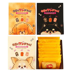 yMYz_t VRThNbL[ 8 / D VRThNbL[ `R[gNbL[ XC[c ^NbL[ Ăَq Mtg  NbL[ `