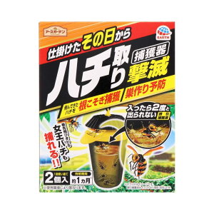 Gg[P1011/20 20:00-11/27 1:59 A[X A[XK[f n`茂ŕߊl 2 / XYo` o` n`쏜 116×146×116mm