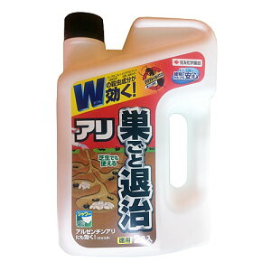 ZFw| AAg[V[ 2L / A쏜 Ƒގ  Ő E