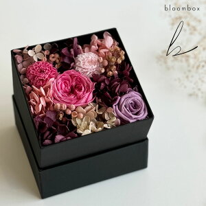 bloombox vU[uht[ {bNX sNn  / u[{bNX 啪 j v[g Mtg 蕨 LO LO  j  킢   ͂Ȃ a ̓ 