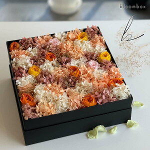 bloombox vU[uht[ {bNX CG[n  / u[{bNX 啪 j v[g Mtg 蕨 LO LO  j  킢   ͂Ȃ a ̓