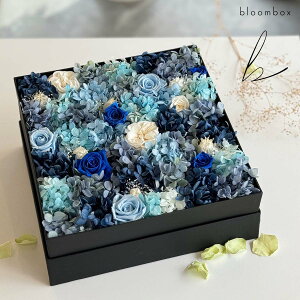 bloombox vU[uht[ {bNX u[n  / u[{bNX 啪 j v[g Mtg 蕨 LO LO  j  킢   ͂Ȃ a ̓ 