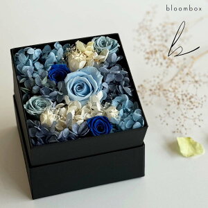 bloombox vU[uht[ {bNX u[n  / u[{bNX 啪 j v[g Mtg 蕨 LO LO  j  킢   ͂Ȃ a ̓ 