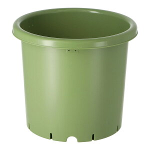 R[iIWi LIFELEX CtbNX ؉|bg 10 325×H280mm / | A ye14L A[XO[  ͔| R[i