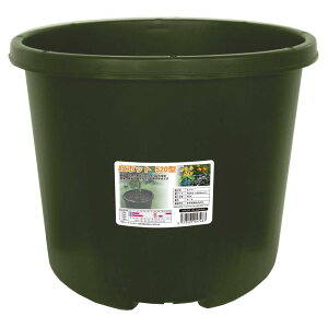 S AZ|bg 520^ J[L 57L 520×420mm / ϗtA  A | {