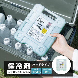 R[iIWi SOUTHERNPORT TU|[g VbJ邭 n[hP[X^Cv 750g 175X200X30mm SP23-6377 / ۗ AEghA Lv W[ R[i