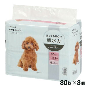 Gg[P10I12/4 20:00-12/11 1:59 R[iIWi LIFELEX CtbNX ybgV[c M[ 80×8Zbg / z P[X̔ e R[i