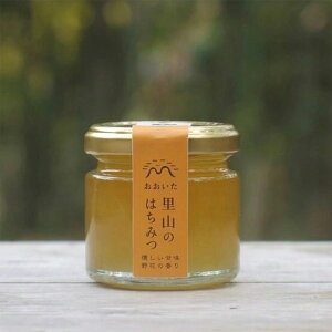 y}{IzR݂̂͂ 90g / I n`~c 啪 Y N  nj[ HONEY