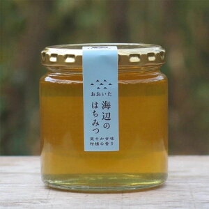 y}{IzCӂ݂̂͂ 300g / I n`~c 啪 Y N  nj[ HONEY