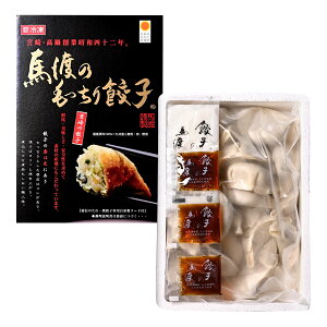 ★エントリーP10★10/24-27限定! 【餃子の馬渡】もっちり餃子 30個 餃子のタレ・ラード付き (発泡ケース入・保冷剤付) / 餃子 冷凍 お土産 ギフト お中元 お歳暮 餃子のまち 宮崎餃子 宮崎県 高